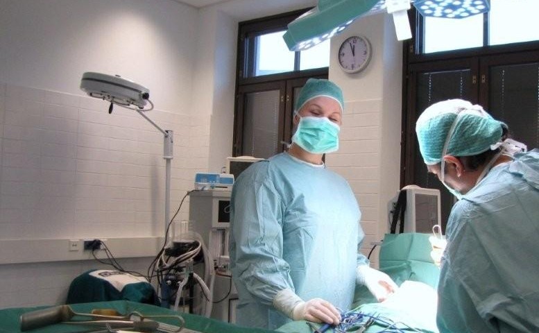 breast silicone implants