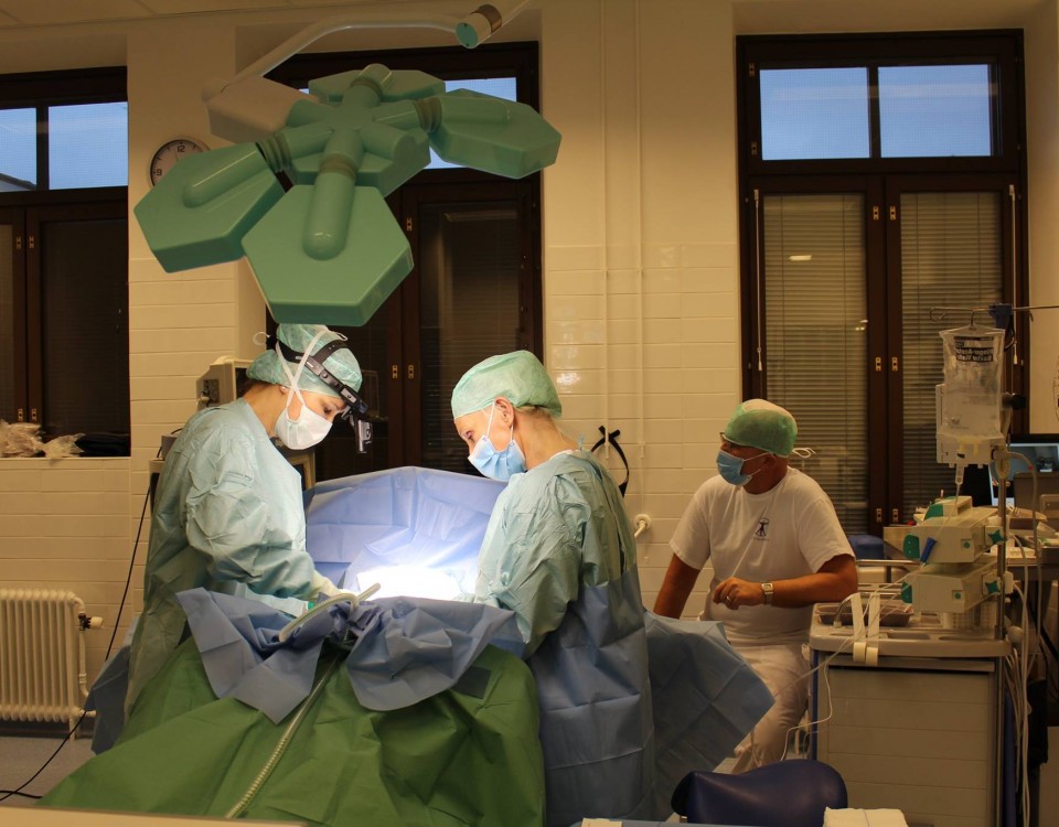Cityklinikka Riikka Veltheim Plastiikkakirurgi